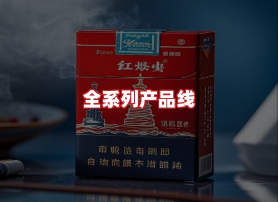 专业团队